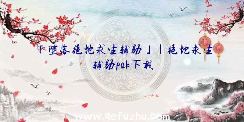 「堕落绝地求生辅助」|绝地求生辅助pak下载